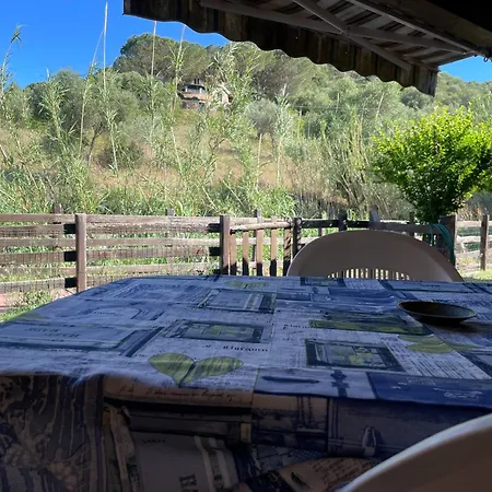 Hébergement de vacances Fan Sard 10 Posti Letto Fbu-zan02